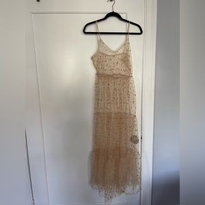 Sheer Starry Dress